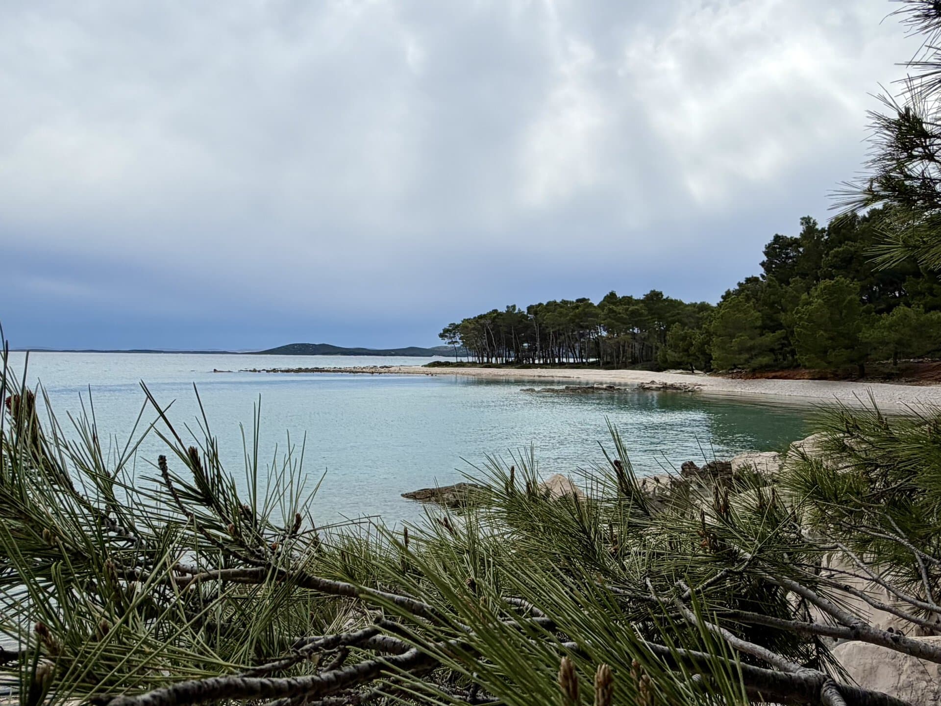 europa-pinien-am-meer-roadtrip-balkan-küstenroute