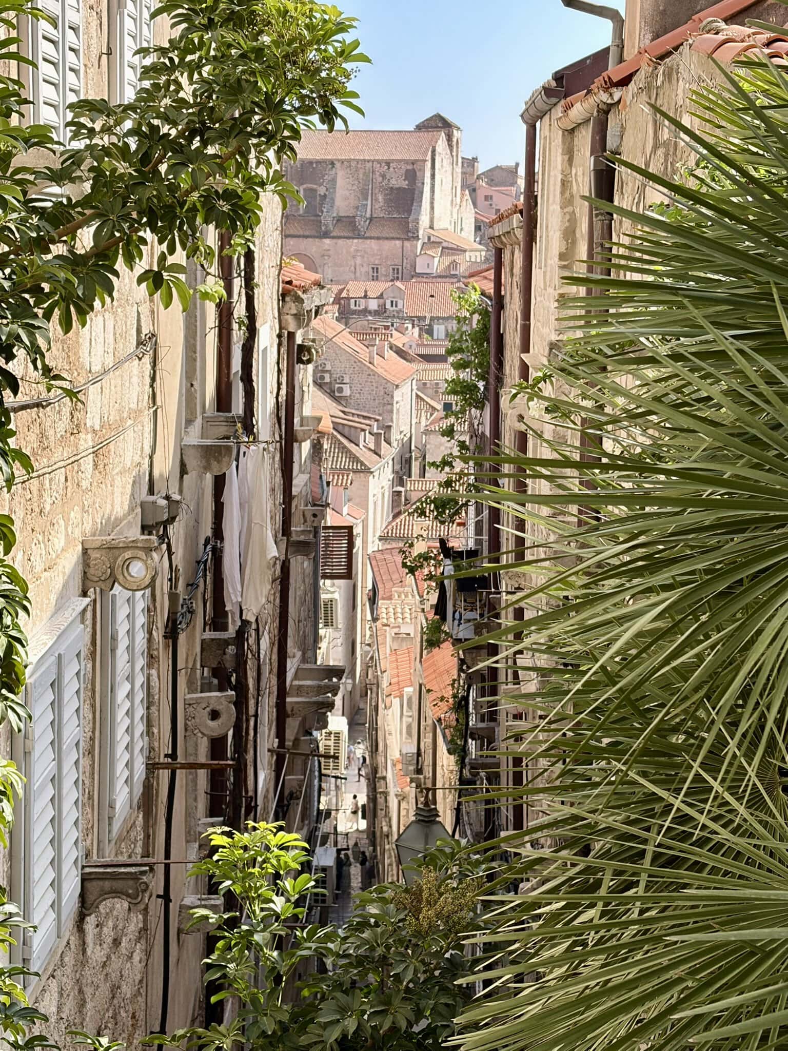 palmen-fassaden-europa-roadtrip-altstadt-balkan-küstenroute