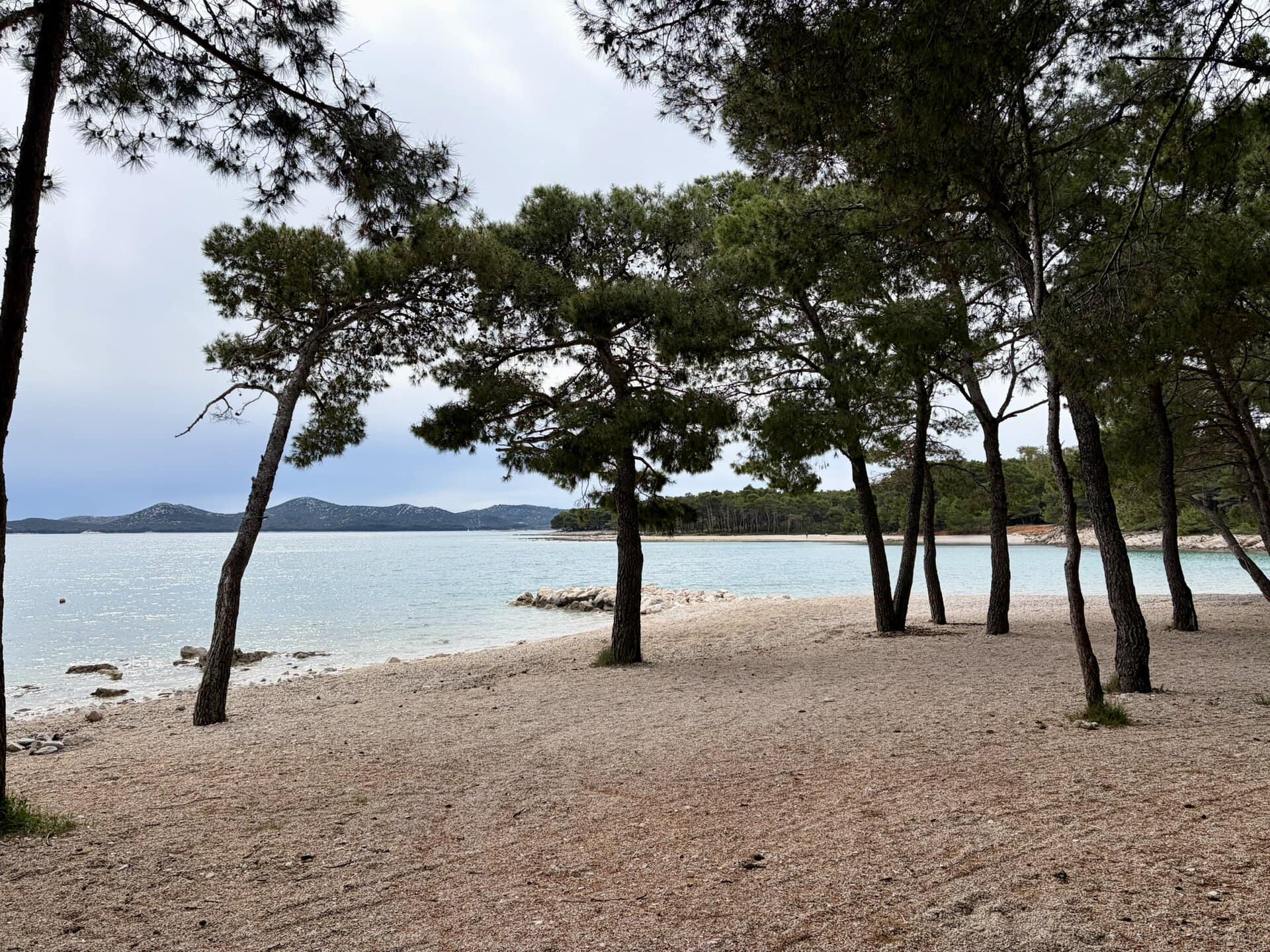 balkan-küstenroute-europa-pinienstrand-roadtrip