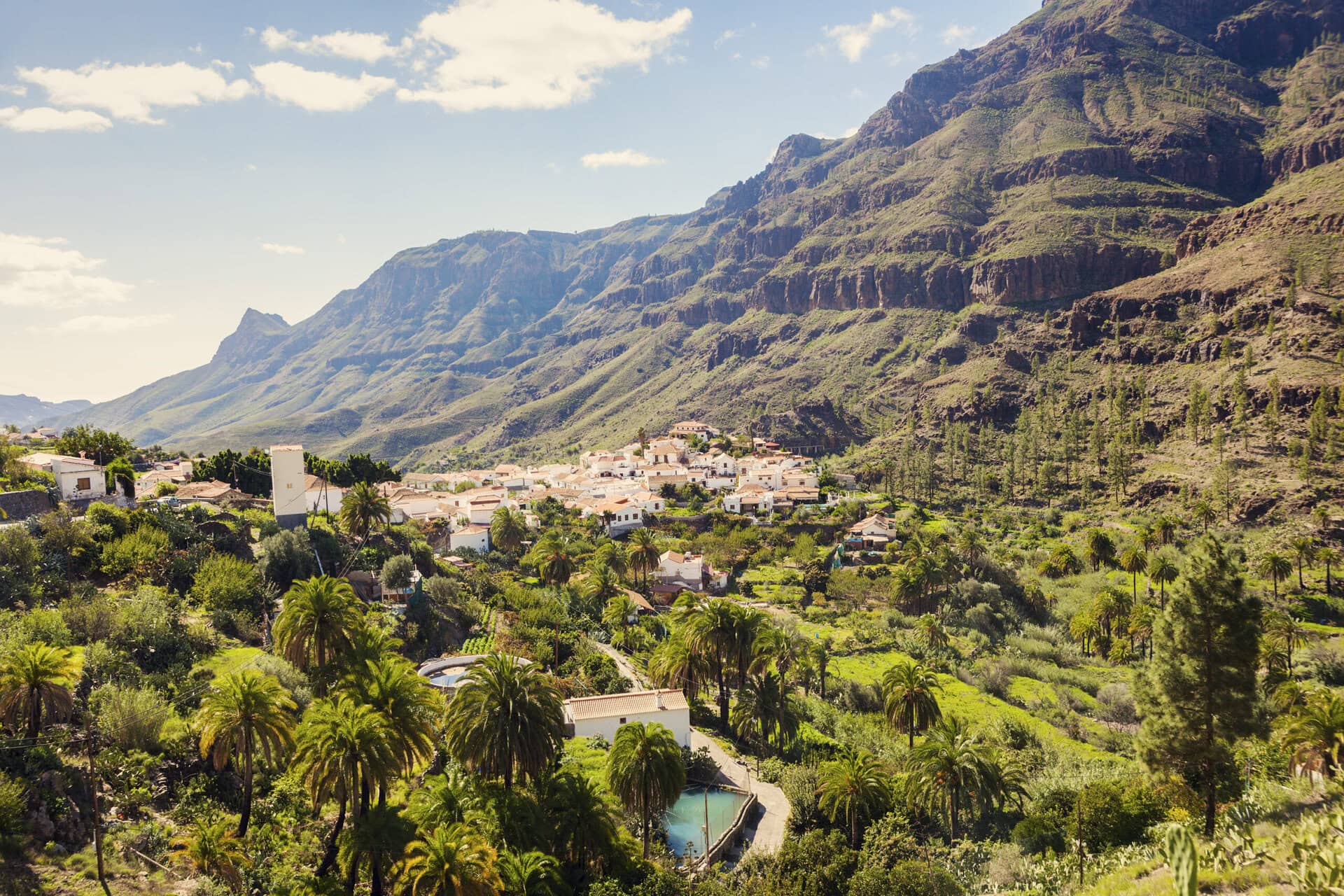 palmen-tal-gran-canaria-fataga-reiseblog-wanderurlaub