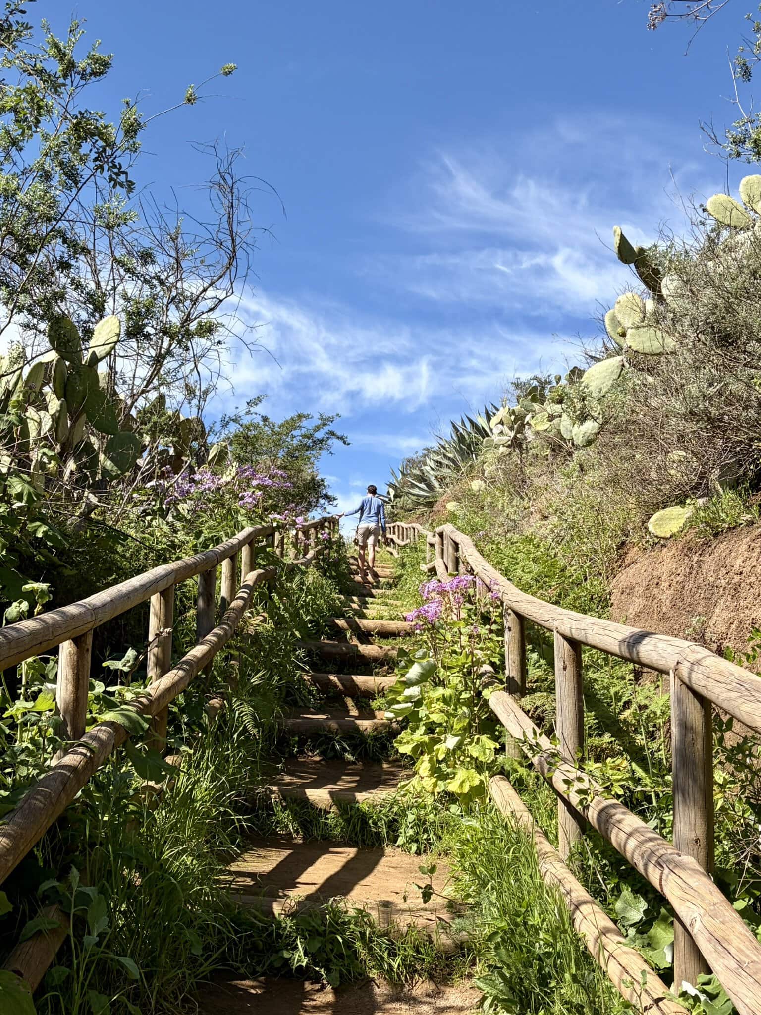treppen-gran-canaria-reiseblog-wanderurlaub-moya