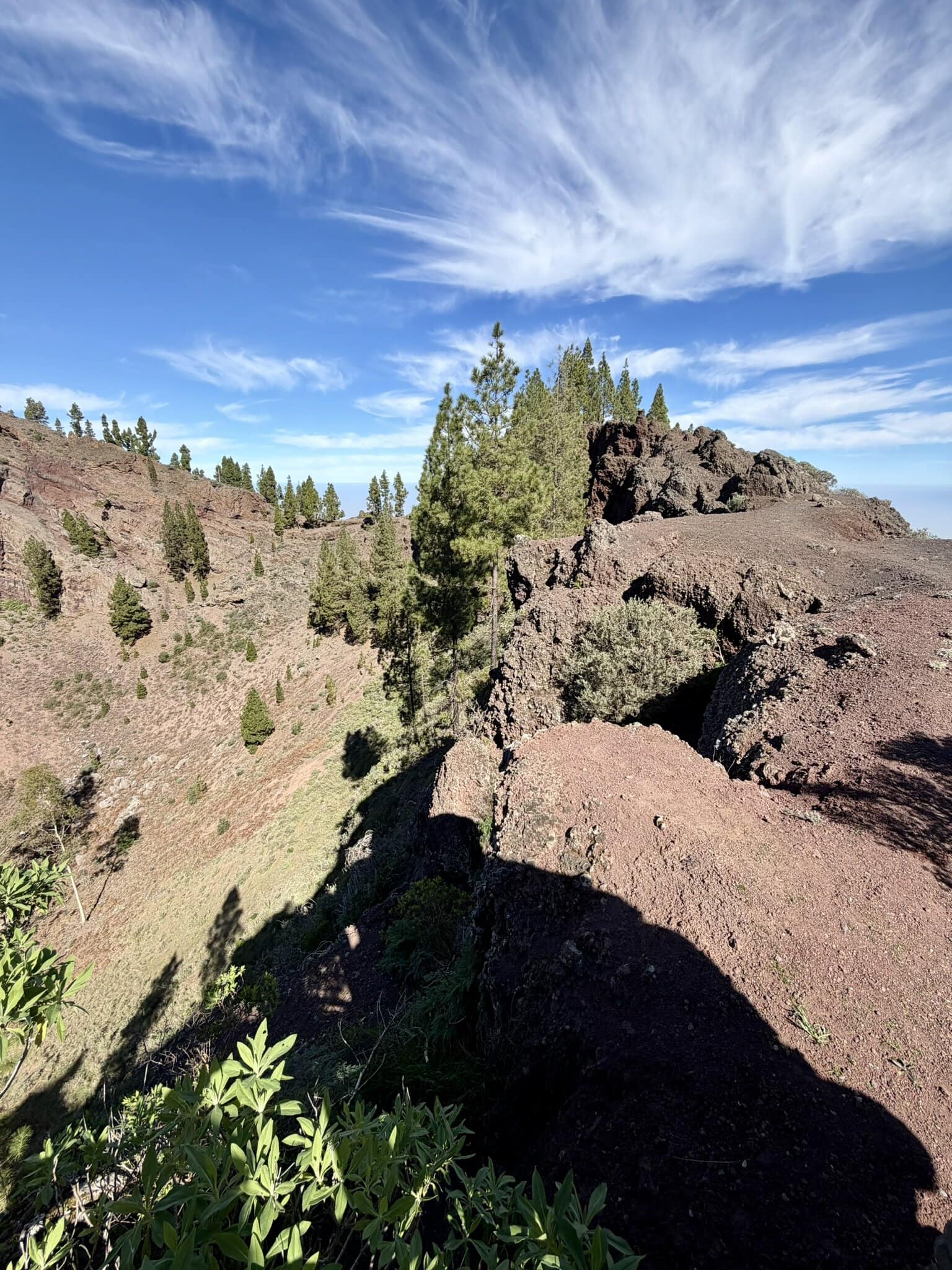 gran-canaria-bergspitze-reiseblog-wanderurlaub-pinien