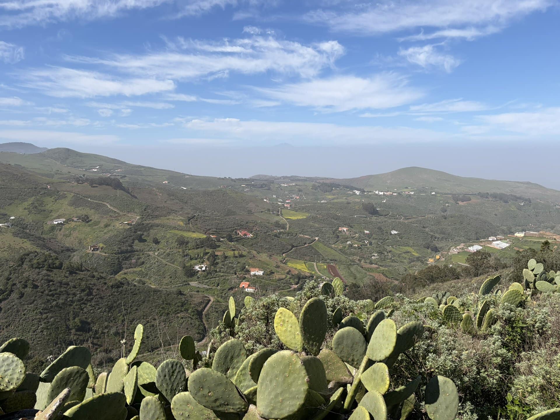 grünes-tal-wanderurlaub-moya-gran-canaria-reiseblog