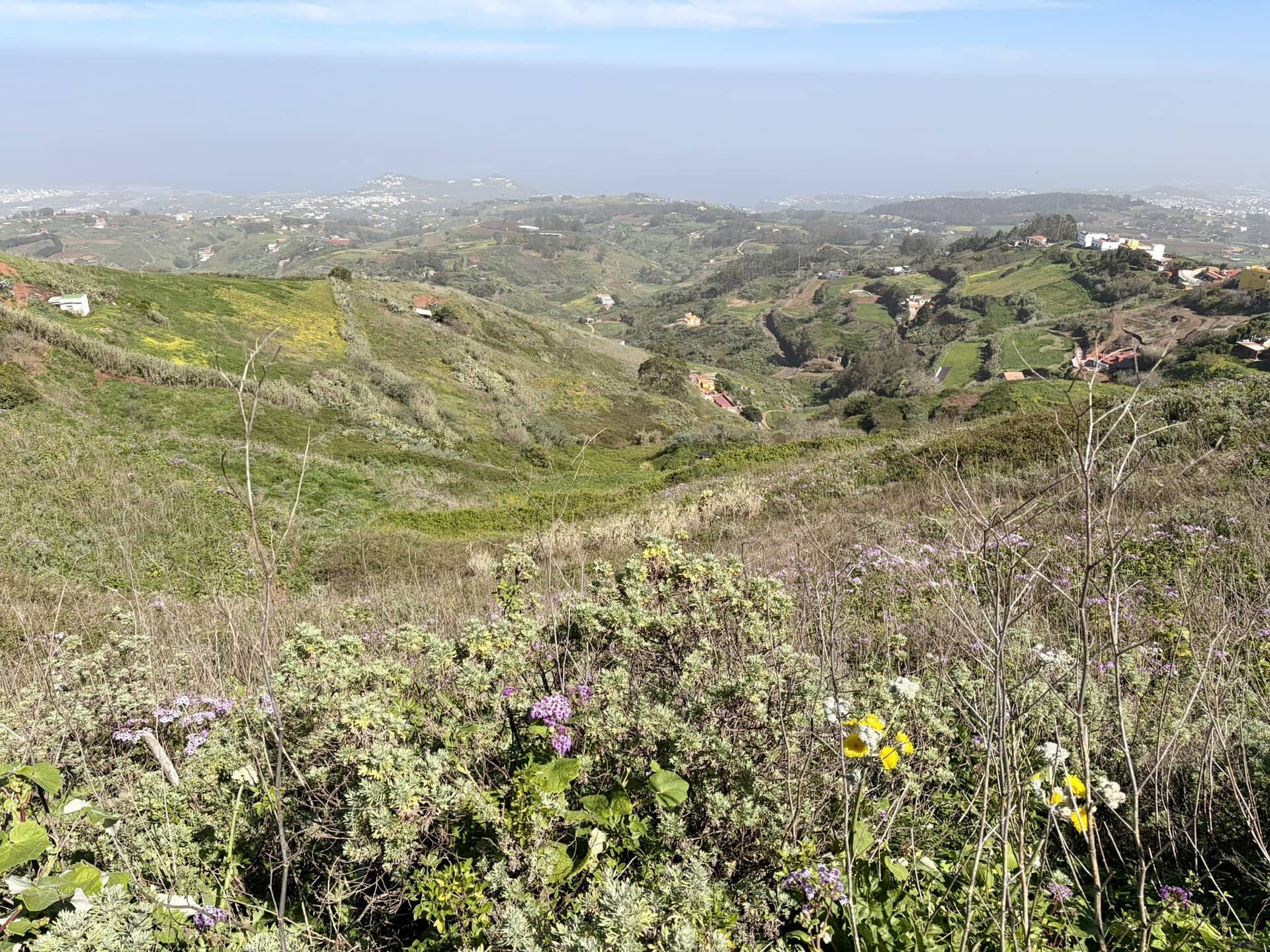 grünes-tal-wandern-reiseblog-gran-canaria-wanderurlaub