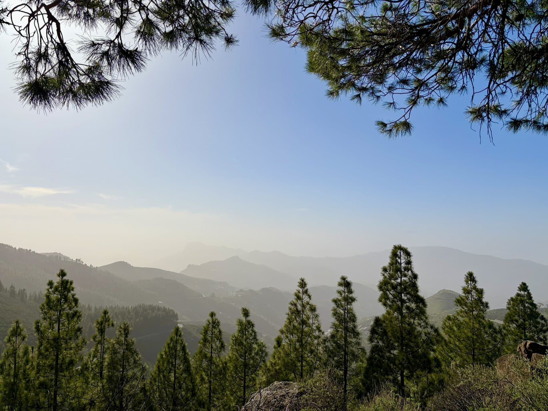 pinienwälder-reiseblog-gran-canaria-berglandschaft-wanderurlaub