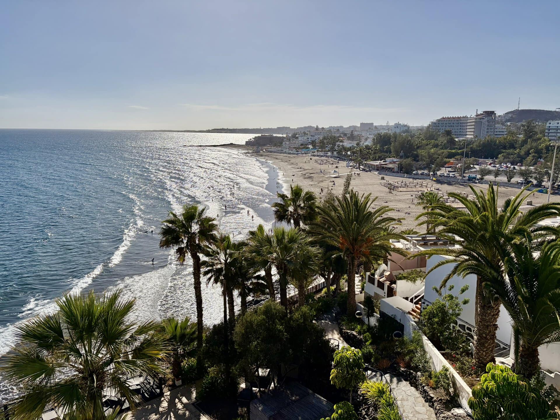 palmen-goldstrand-san-agustin-reiseblog-wanderurlaub-gran-canaria