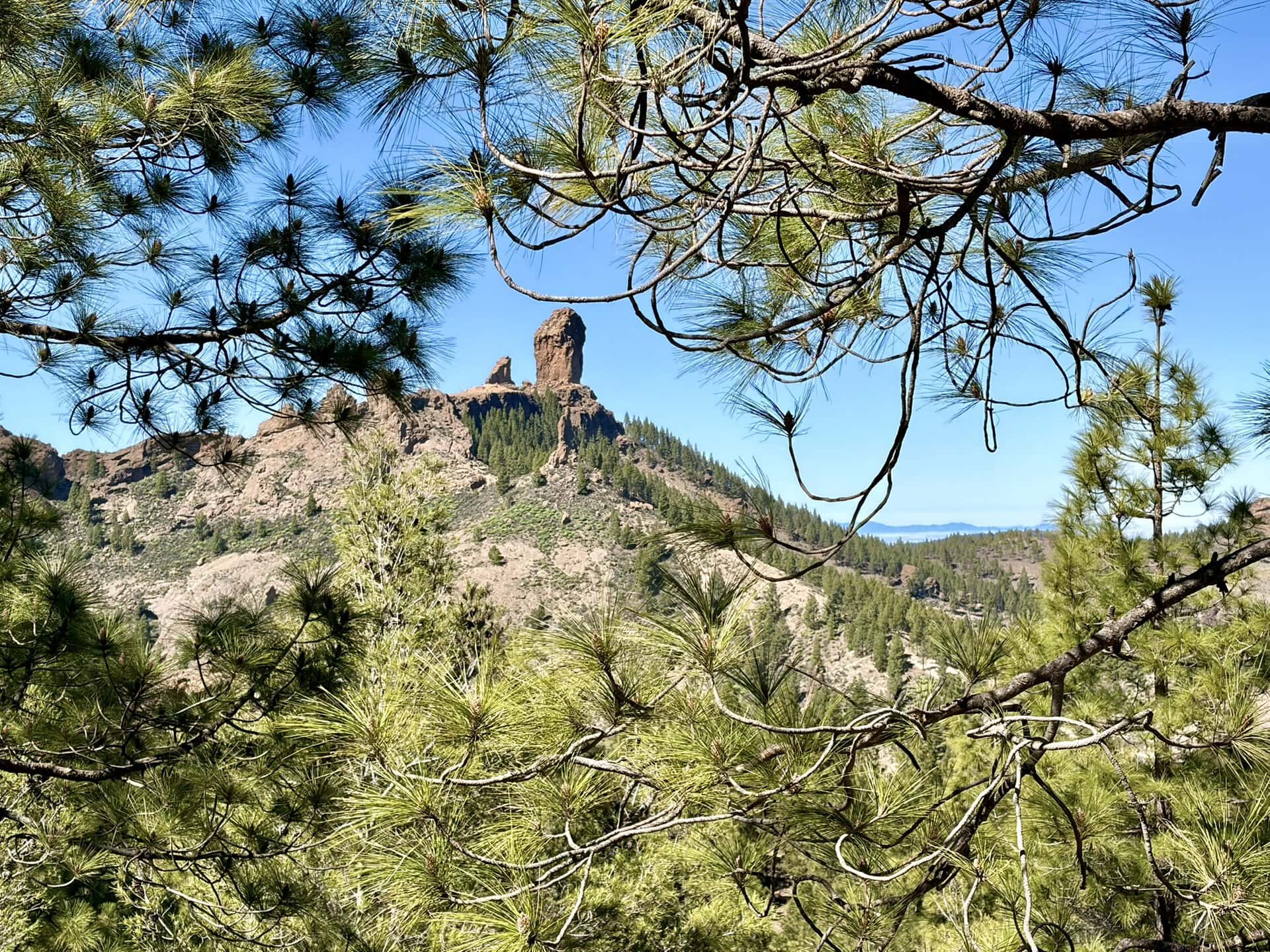 bergwipfel-reiseblog-wahrzeichen-wanderurlaub-gran-canaria-felsen