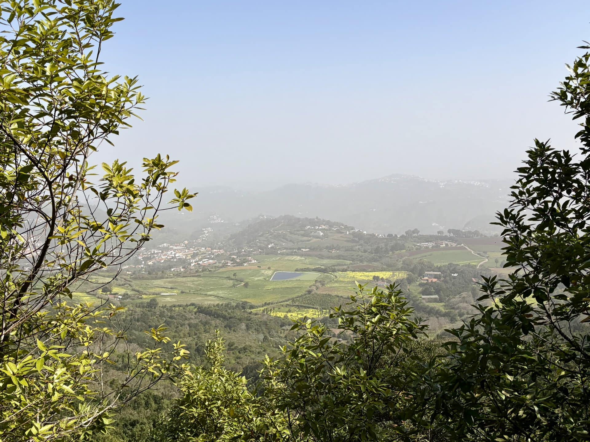 gran-canaria-reiseblog-wanderurlaub-grüner-talblick