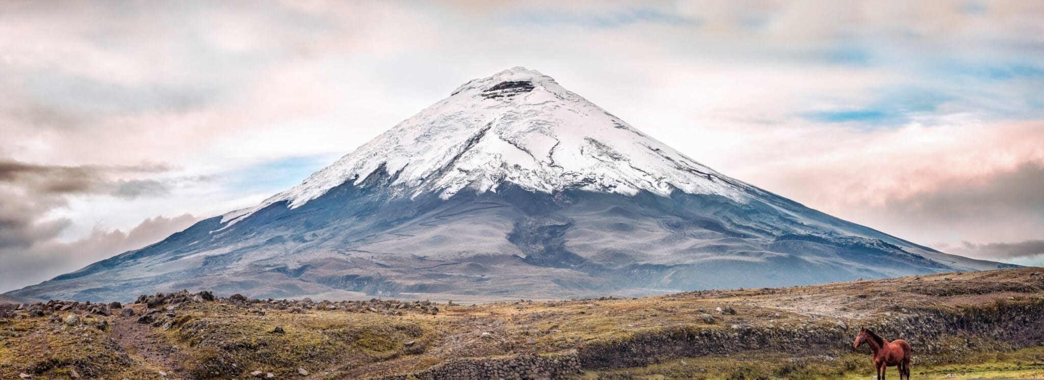 Vulkan Cotopaxi in den Anden auf der Ecuador Rundreise