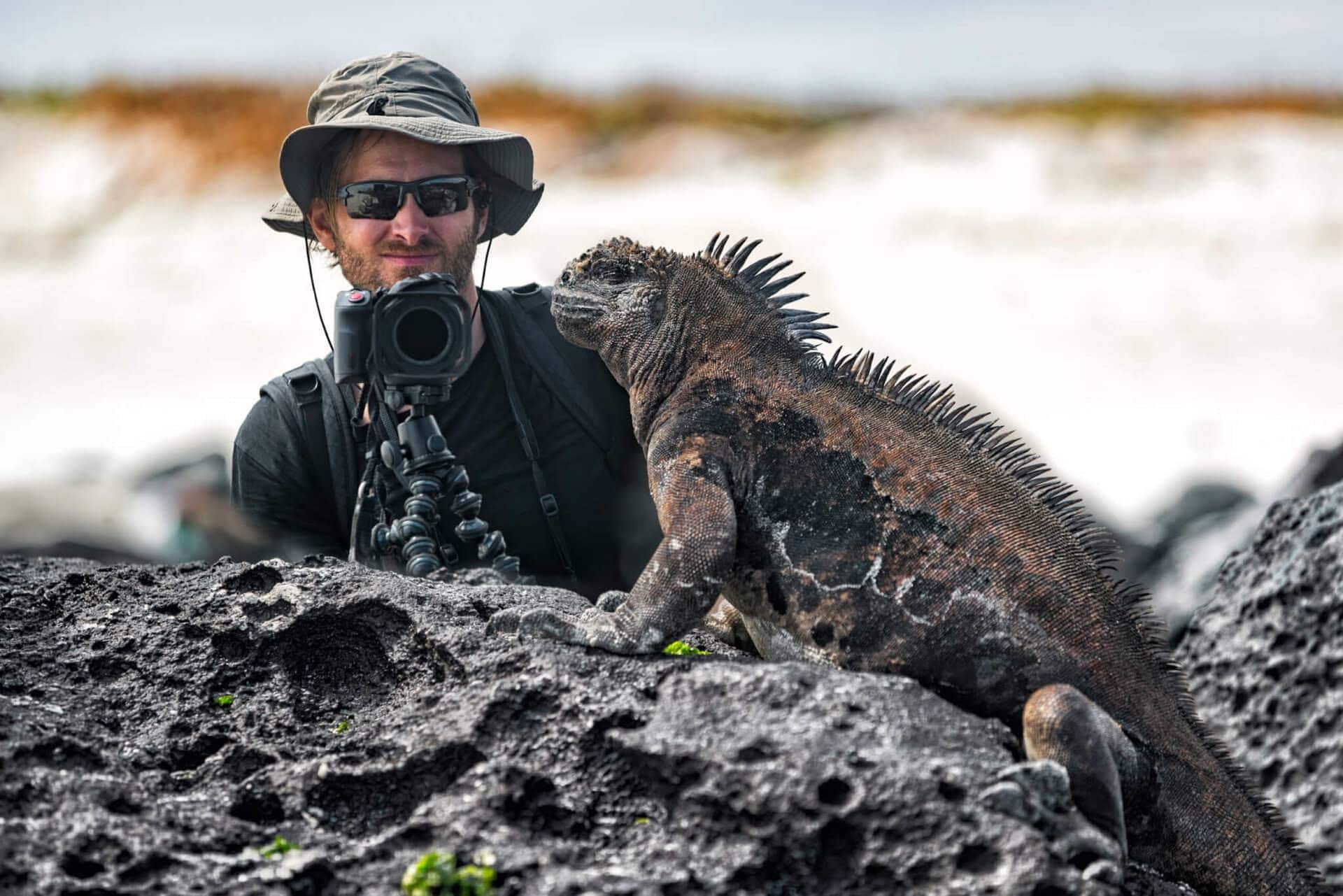 Galapagos Kreuzfahrt in Ecuador mit einzigartigen Naturerlebnissen