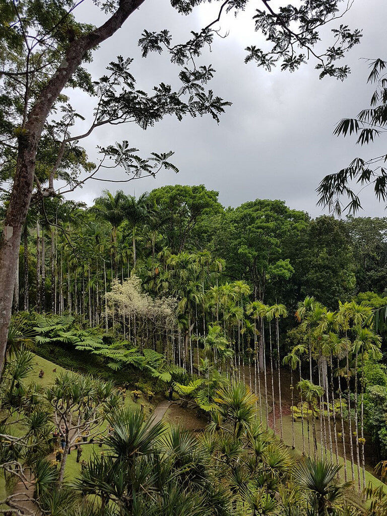 Plane Deinen Urlaub - Martinique Karibik