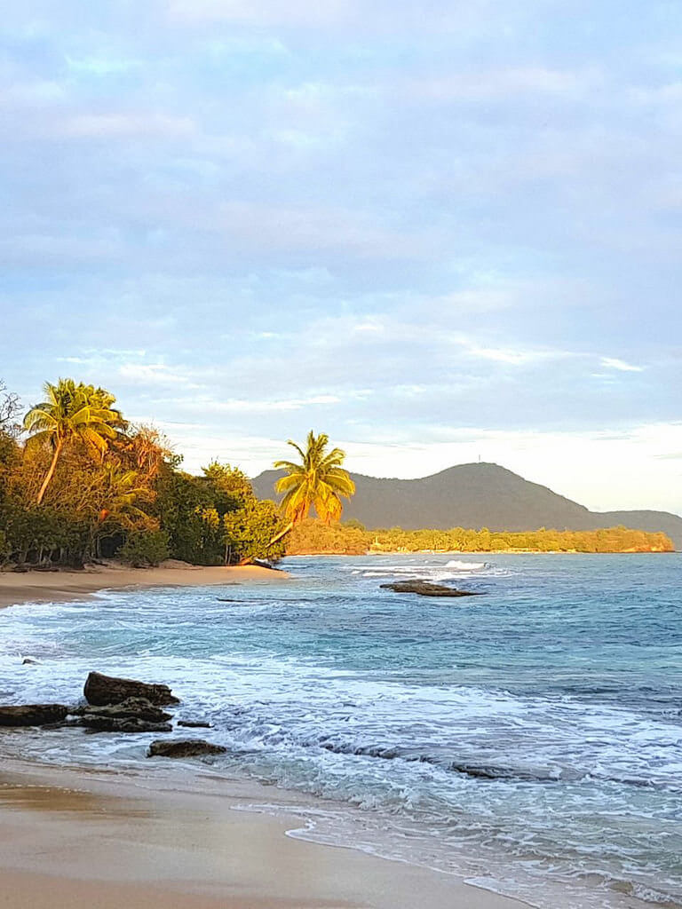 Plane Deinen Urlaub - Martinique Karibik