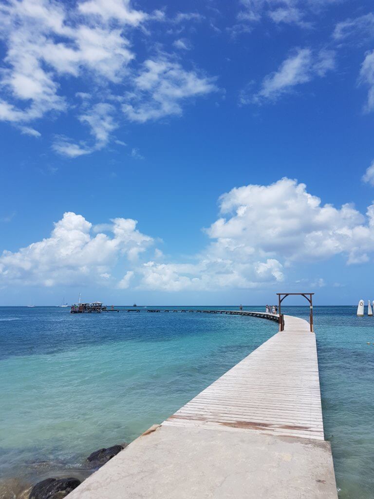 Plane Deinen Urlaub - Martinique Karibik