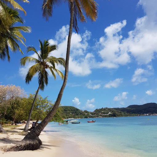 Plane Deinen Urlaub - Martinique Karibik