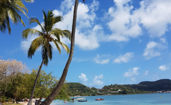 Plane Deinen Urlaub - Martinique Karibik