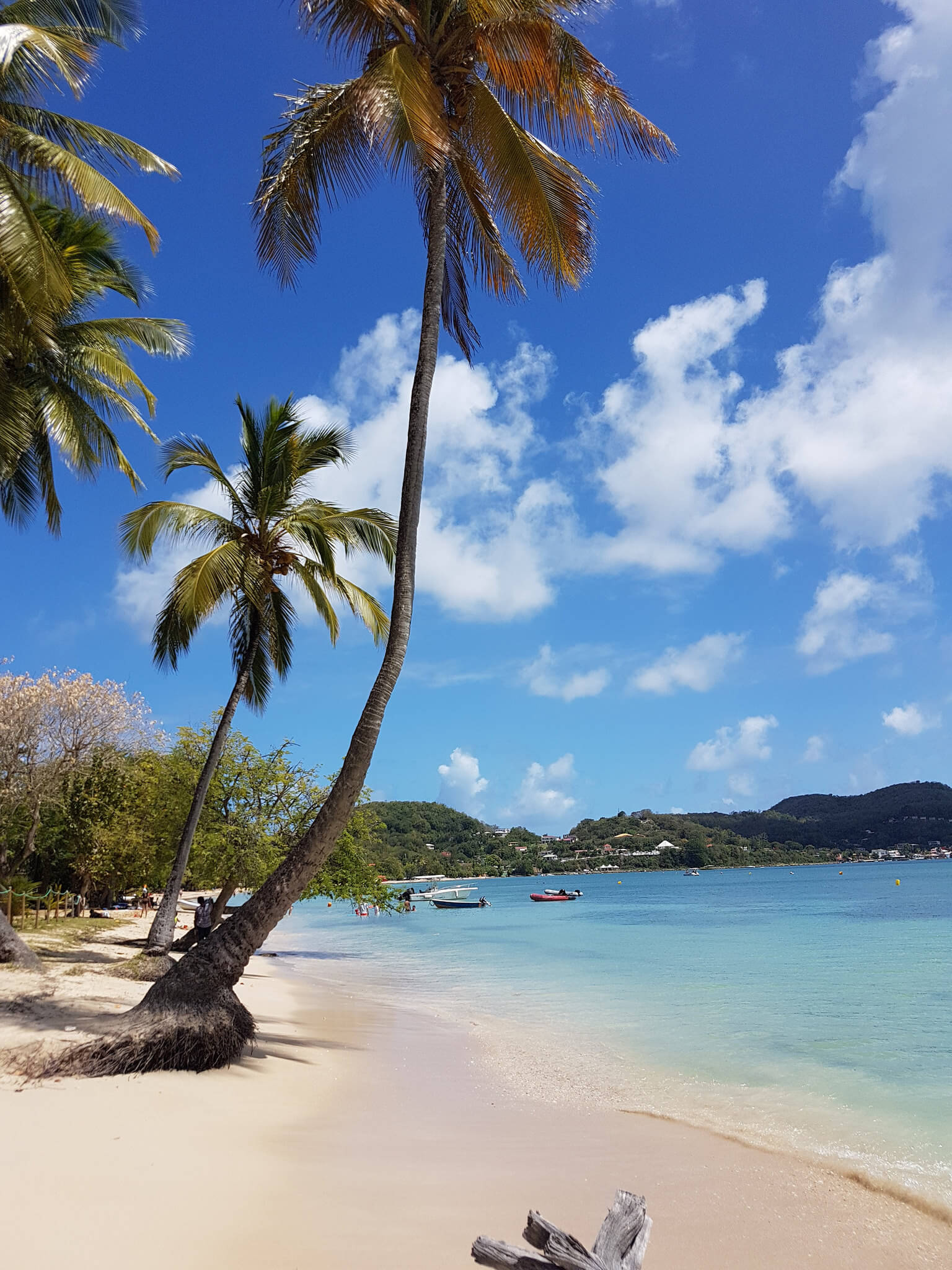 Plane Deinen Urlaub - Martinique Karibik