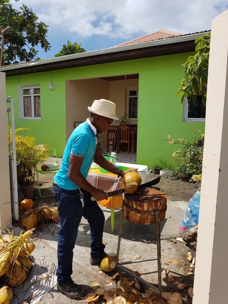 Plane Deinen Urlaub - Martinique Karibik