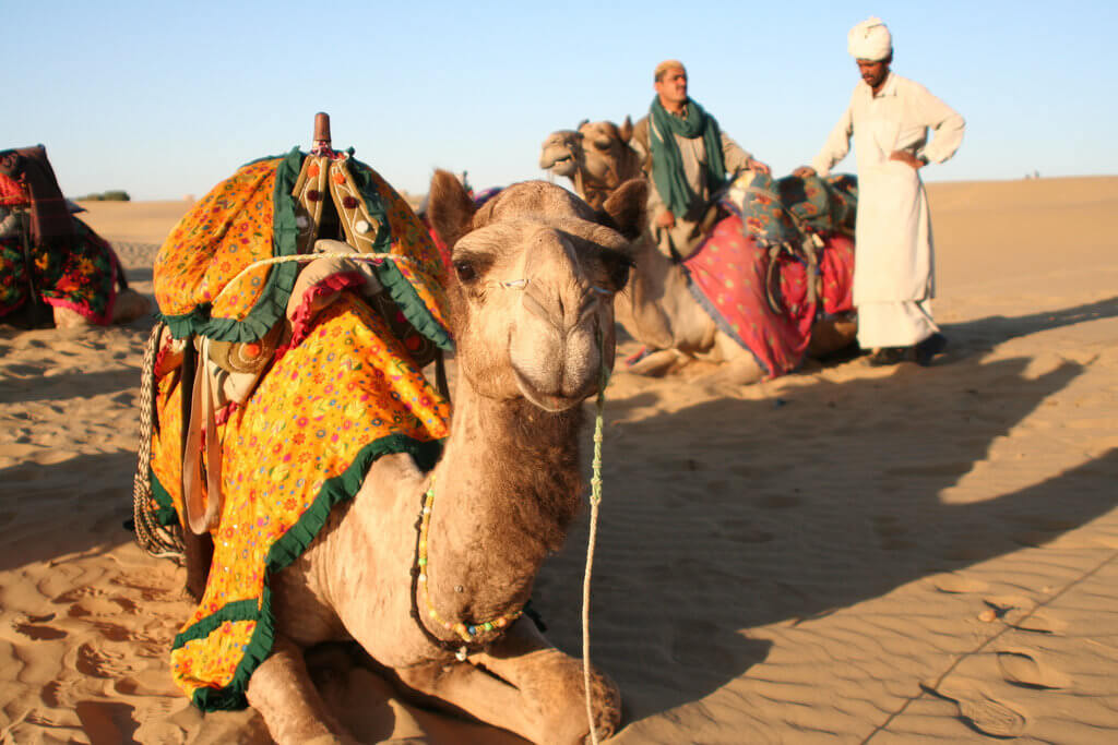 Plane Deinen Urlaub - Indien