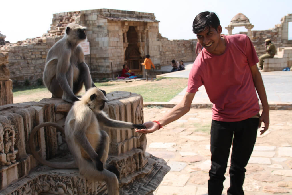 Plane Deinen Urlaub - Indien