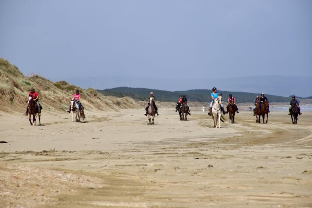 90-miles-beach-neuseeland-insel-rundreise-autoreise-reiten-am-strand-erholung