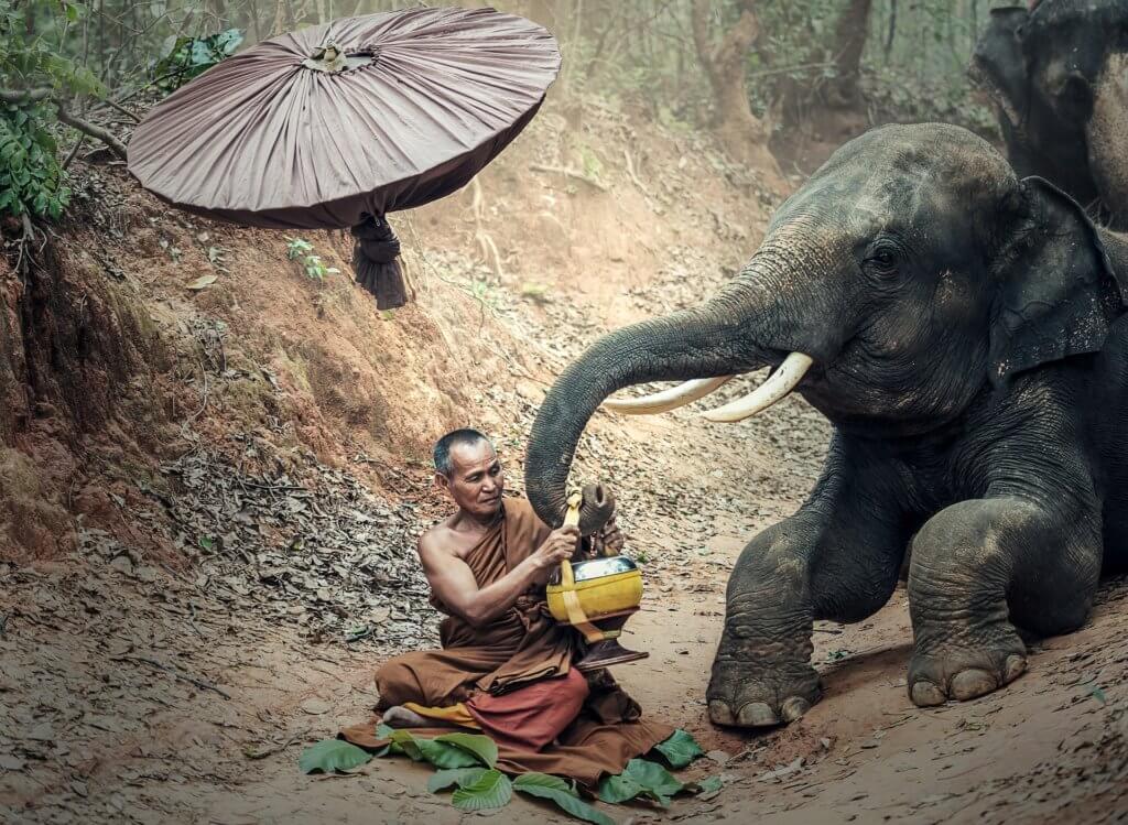 Myanmar-Elefanten-Camp-heo-reise-buchen-myanmar Myanmar-Elefanten-Camp-heo-reise-buchen-myanmar
