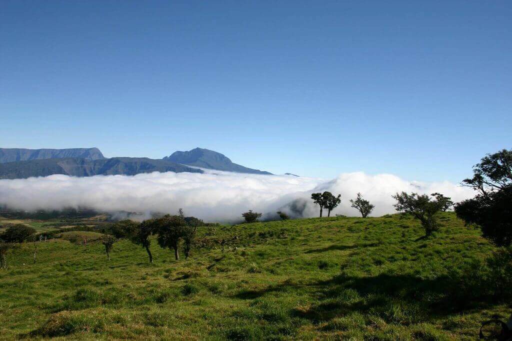 la-reunion-und-seychellen-reise-Foret de Bebour-sued-ost-kueste-wandern-reise-planen-aktivurlaub-indischer-ozean-mietwagenrundreise