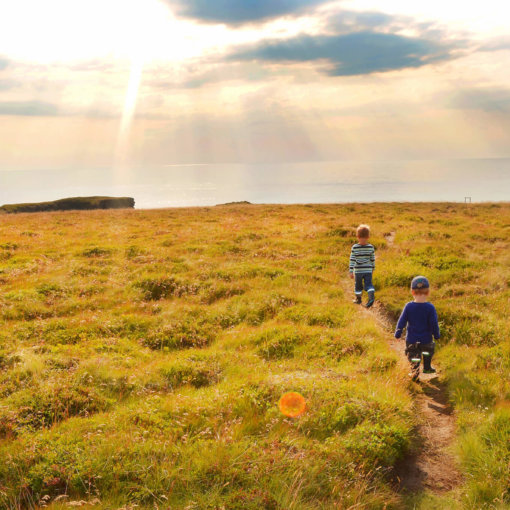 familienurlaub-island-in-ferienhäusern-buchen-urlaub-planen