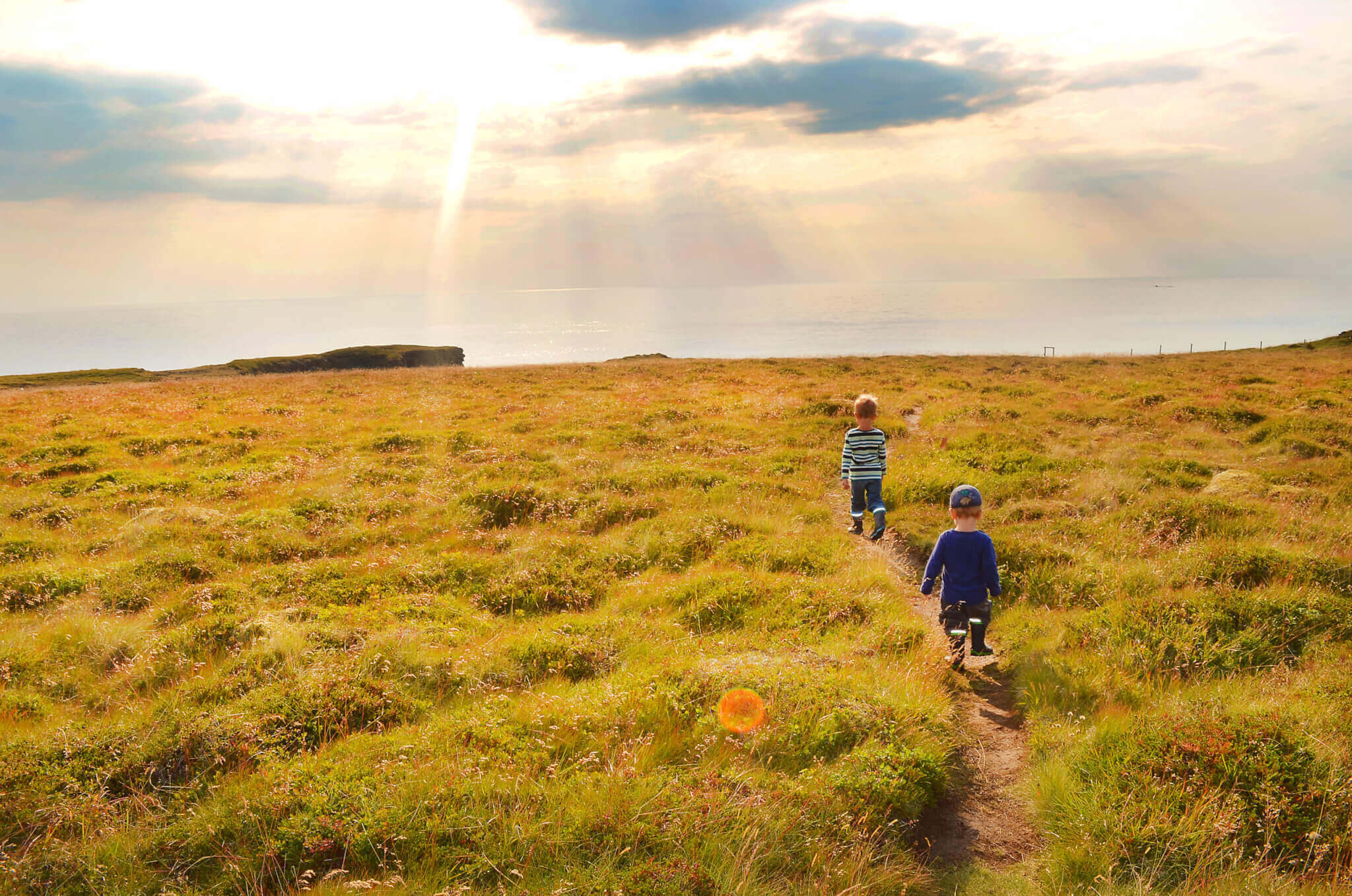 familienurlaub-island-in-ferienhäusern-buchen-urlaub-planen