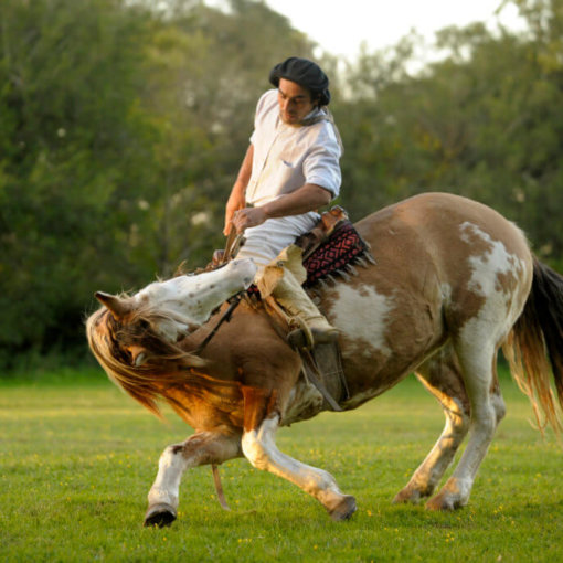 reiseplaner-spezialist-fuer-suedamerika-argentinien-rundreise-individuell-mit-chile-reise-buchen-Estancia-La-Porteña