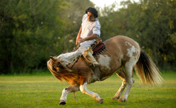 reiseplaner-spezialist-fuer-suedamerika-argentinien-rundreise-individuell-mit-chile-reise-buchen-Estancia-La-Porteña