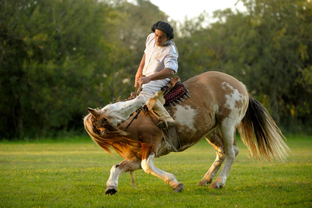 reiseplaner-spezialist-fuer-suedamerika-argentinien-rundreise-individuell-mit-chile-reise-buchen-Estancia-La-Porteña