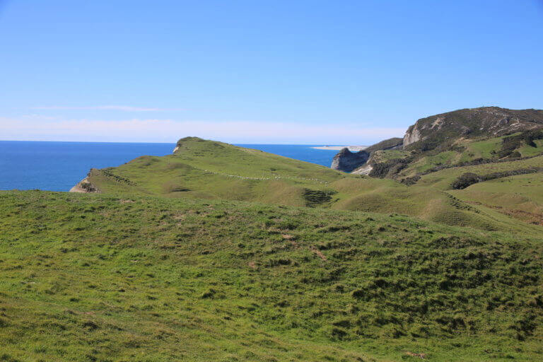 cape-farewell-urlaub-reisebericht-reisebüro-fotoreise-foto-hot-spot-have-to-sicher-reisen-neuseeland-wow