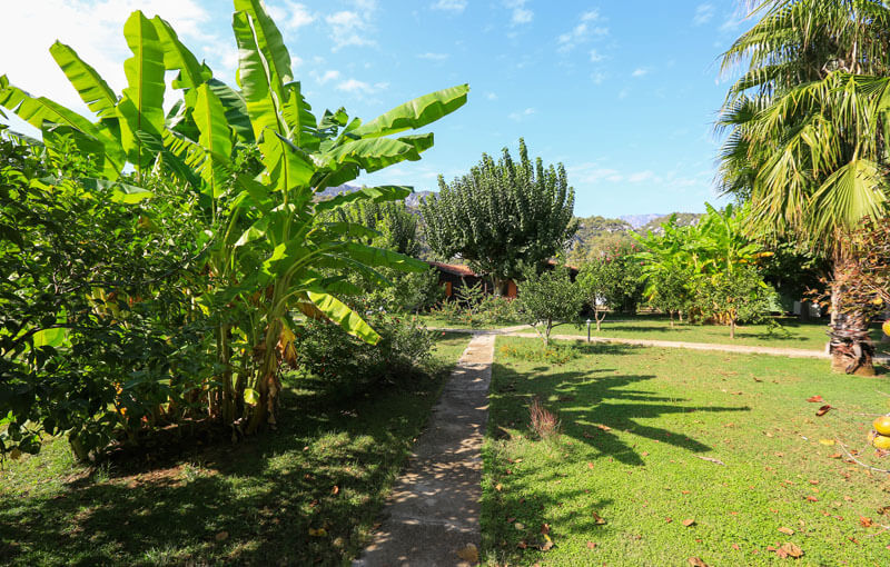 urlaub-cirali-reise-fuer-familien-bungalow