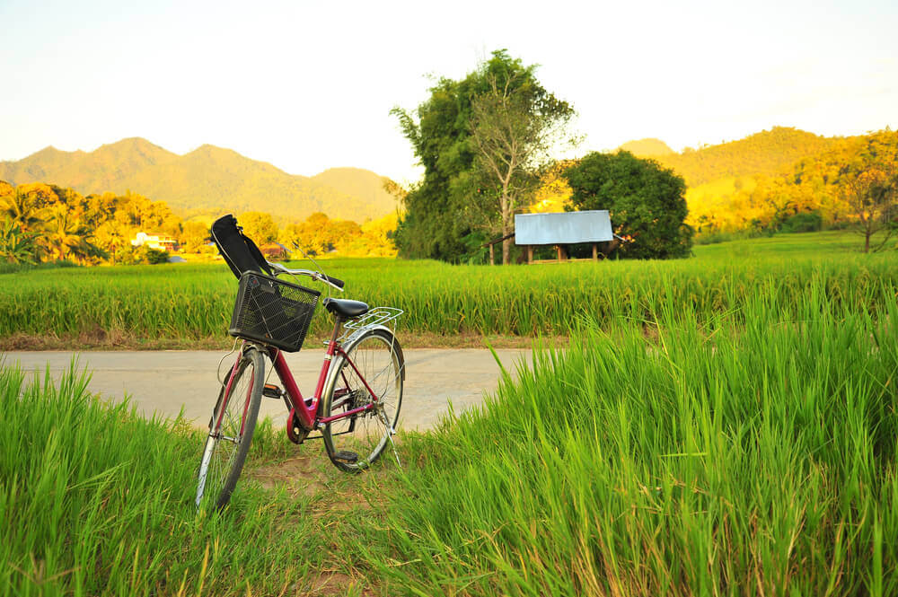 bali-individuell-reise-reisefelder-reise-eat-pray-love-fahrrad-filmtourismus-rundreise-bali-planen