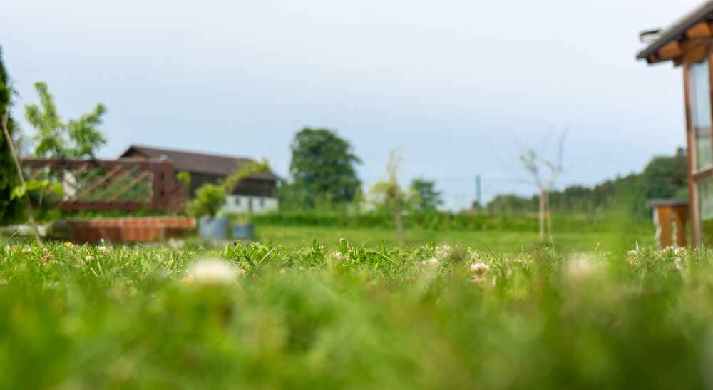 familienurlaub-bayern-ferienhaus-in-bayern-urlaub-buchen familienurlaub-bayern-ferienhaus-in-bayern-urlaub-buchen