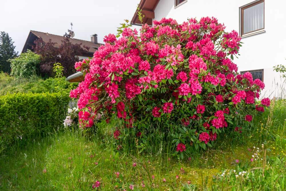 niederbayern-deutschland-familienurlaub-ferienhaus-mieten niederbayern-deutschland-familienurlaub-ferienhaus-mieten
