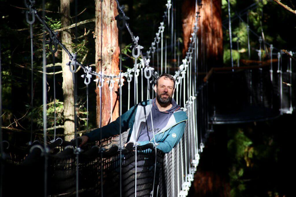 high-walk-tree-walk-redwood-forest-rotorua-natur-neuseeland-reiseinfo