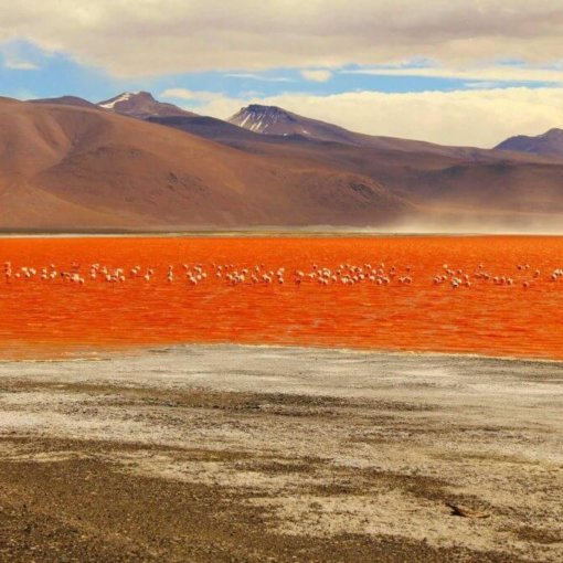 Bolivien-Reiseprogramme-reise-buchen-laguna-colorada-altiplano-chile-peru-bolivien-kombination-reisespezialist-suedamerika-rundreise