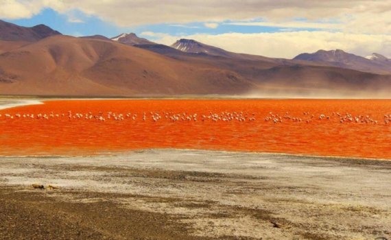 Bolivien-Reiseprogramme-reise-buchen-laguna-colorada-altiplano-chile-peru-bolivien-kombination-reisespezialist-suedamerika-rundreise