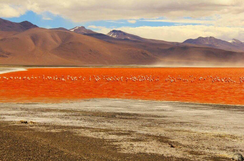 Bolivien-Reiseprogramme-reise-buchen-laguna-colorada-altiplano-chile-peru-bolivien-kombination-reisespezialist-suedamerika-rundreise