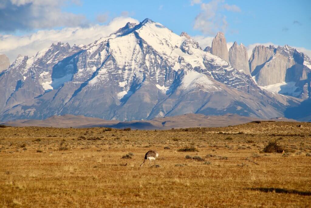 beratung-chilereise-luxusrundreise-chile-patagonien-chilerundreise-patagonien-trekkingreise-reiseidee-reisetip