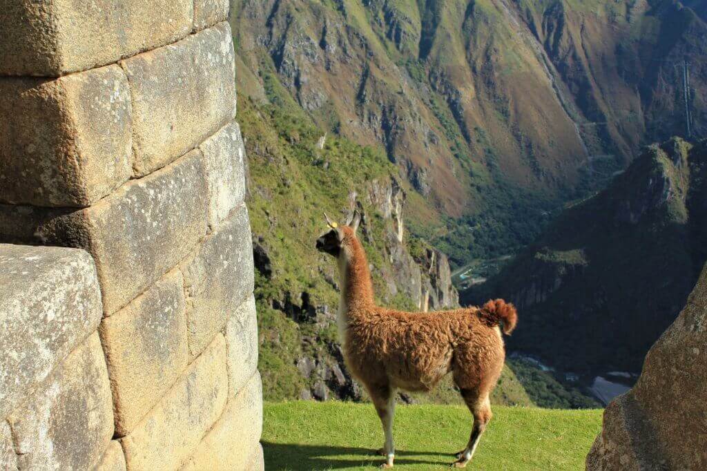 peru-reise-planen-machu-picchu-inka-trail-individuelle-luxureise-massgeschneidert