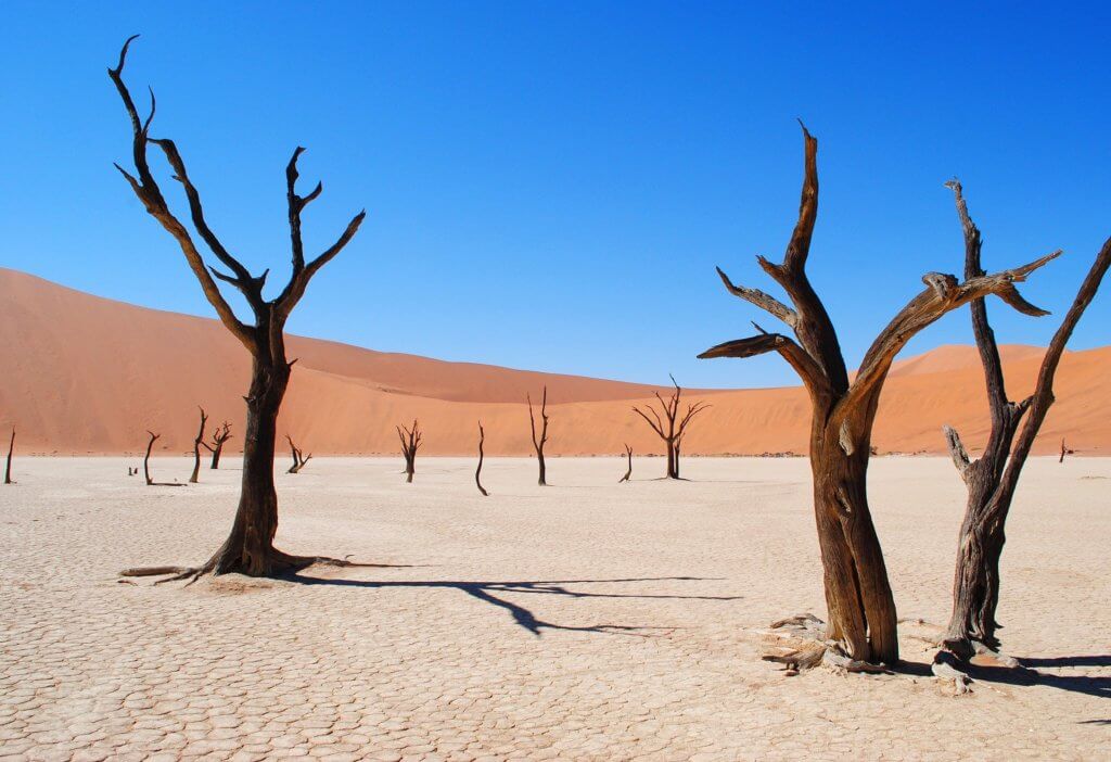 mietwagenrundreise-namibia-unterwegs-reise-planen-gruppenreise-namib-wueste