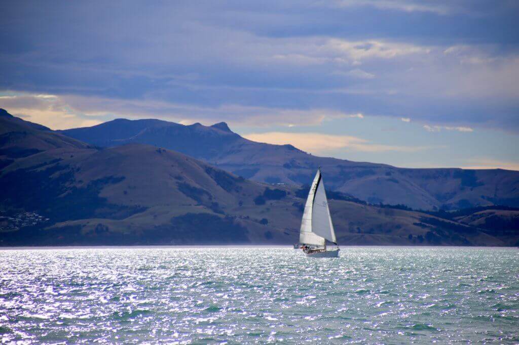 neuseeland-akaroa-segeln-segelturn-segelboot-buchen-beratung-reiseprofi-tierbeobachtung-delphine-delfine-tagestrip-tagesausflug-empfehlung