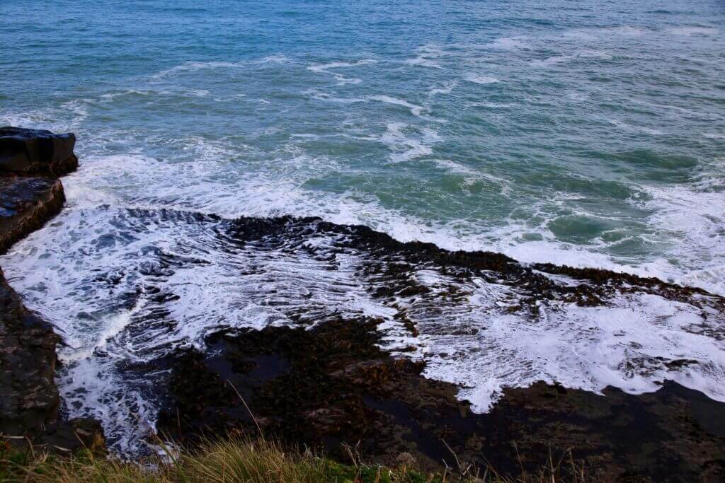 neuseeland-catlins-watching-wale-beobachten-strandspaziergang-natur-erleben-fotos-fotoreise-reisebericht-reisebüro