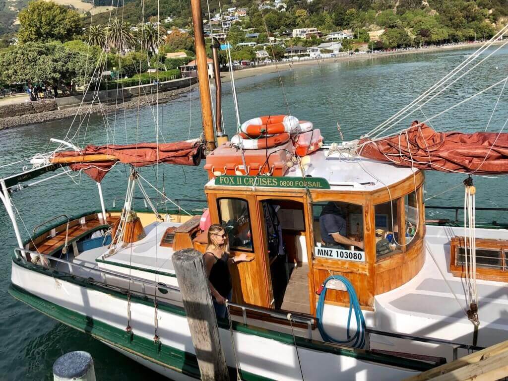 akaroa-bootstour-buchen-beratung-reiseprofi-tierbeobachtung-delphine-delfine-tagestrip-tagesausflug-empfehlung