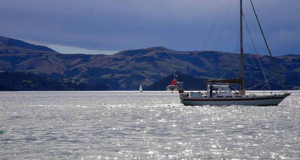 akaroa-bootstoure-buchen-beratung-reiseprofi-tierbeobachtung-delphine-delfine-tagestrip-tagesausflug-empfehlung