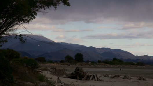 neuseeland-nelson-beach-strand-badeort-rundreise-reiseblog-reisebericht-urlaubserfahrung-reisebüro