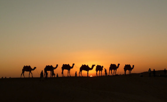 buchen-oman-rundreise-reisespezialist-orient-wuestentour-kamele-Rajastan