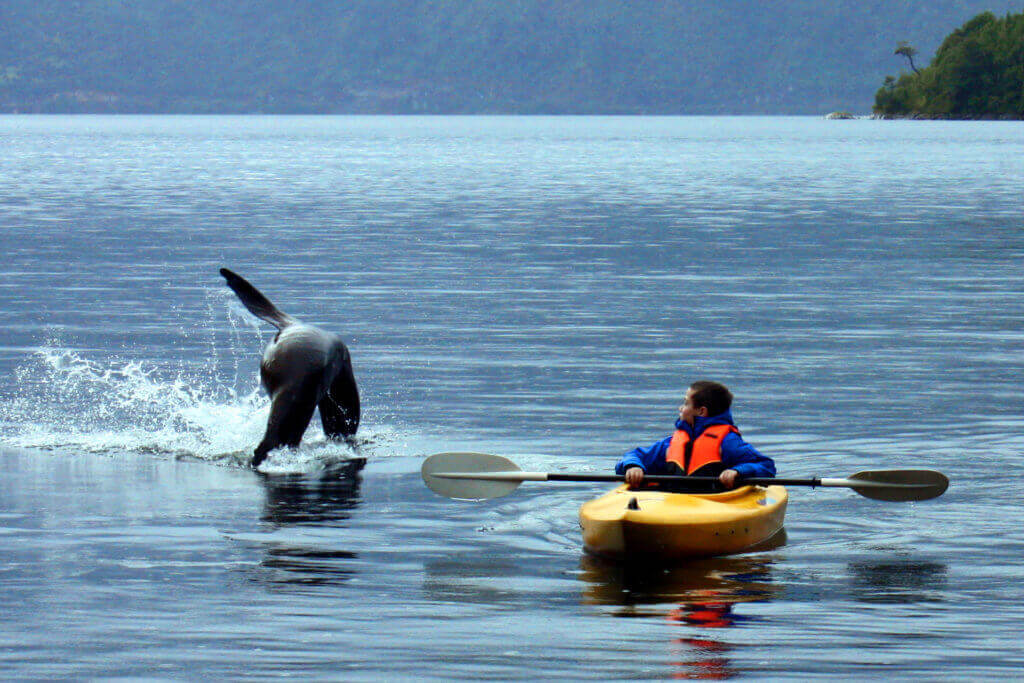 reisespezialist-patagonien-fjorde-reise-buchen-organisierte-rundreise-chile-mietwagenrundreise-lodge-fotoreise-luxus-geplante-reise-chile-Puyuhuapi